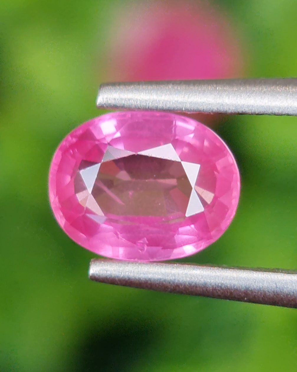 พลอย ชมพู พิ้ง แซฟไฟร์ Pink Sapphire