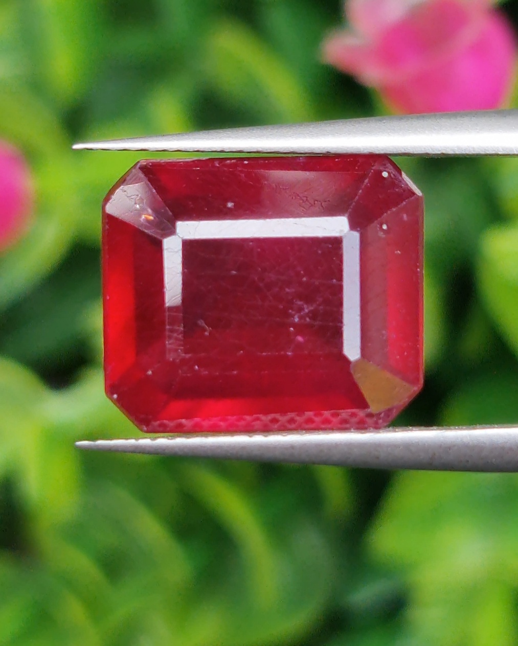 พลอย ทับทิม Ruby sapphire