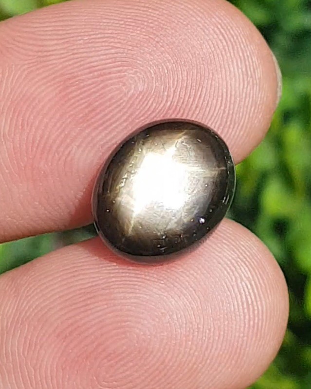 แบล็ค สตาร์ แซฟไฟร์ Natural Star Sapphire