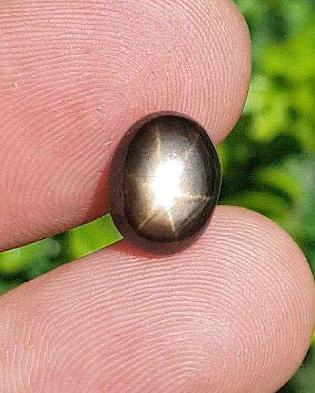 แบล็ค สตาร์ แซฟไฟร์ Natural Star Sapphire