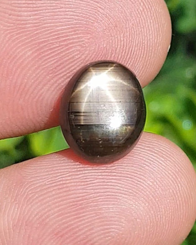 แบล็ค สตาร์ แซฟไฟร์ Natural Star Sapphire