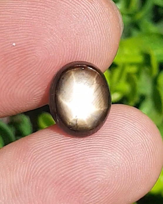 แบล็ค สตาร์ แซฟไฟร์ Natural Star Sapphire