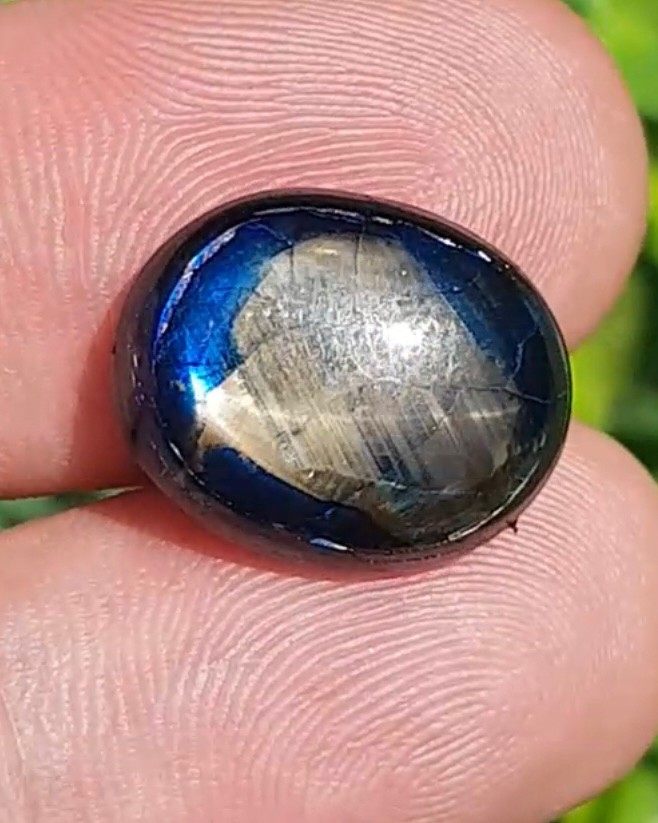 บลู สตาร์ แซฟไฟร์ Blue Star Sapphire