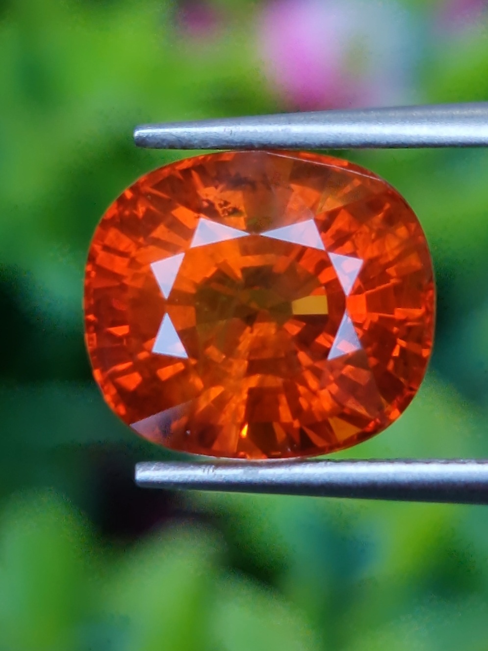 บุษราคัม (Yellow Sapphire)