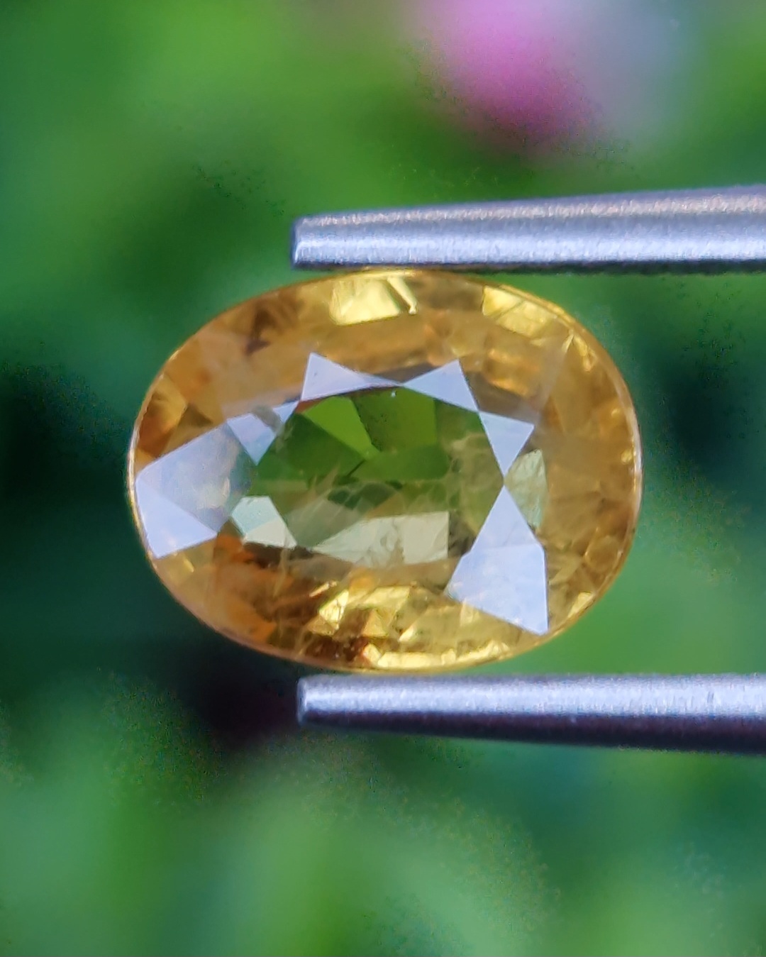 บุษราคัม (Yellow Sapphire)
