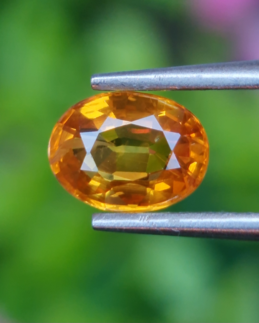 บุษราคัม Natural Yellow Sapphire