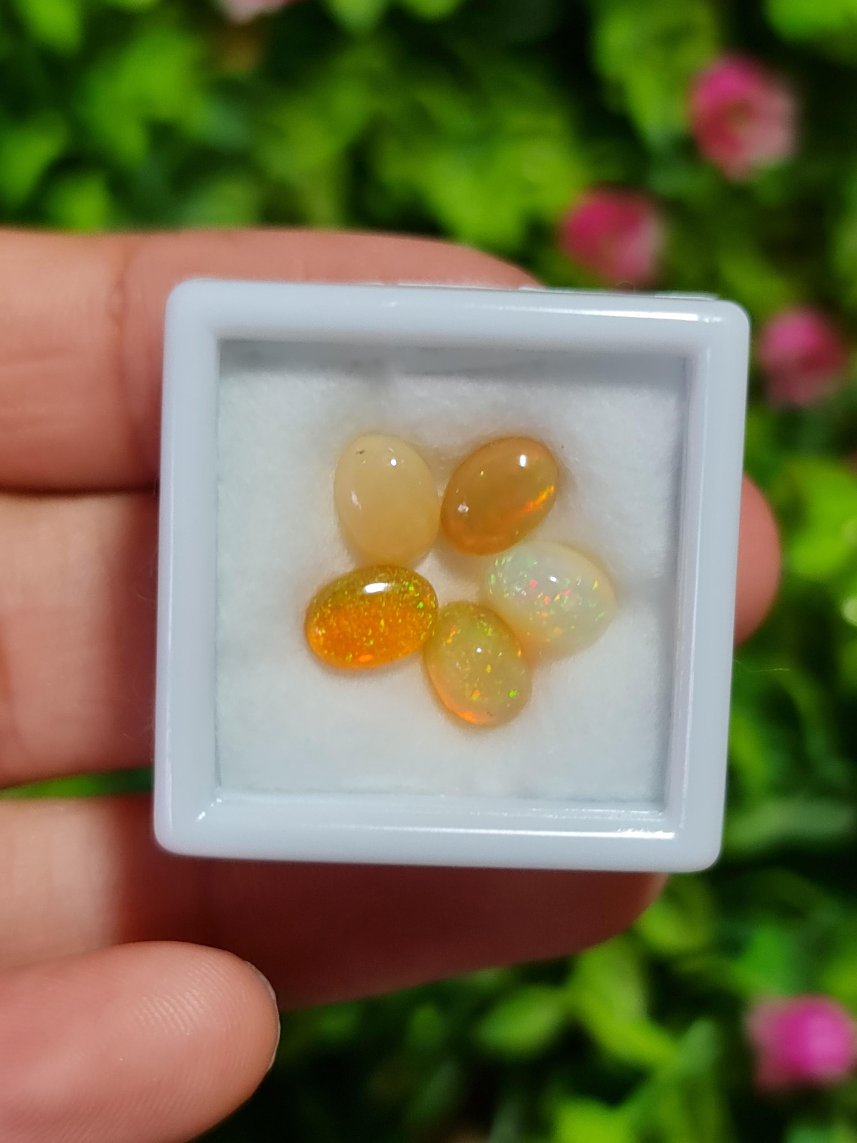 พลอย โอปอล Opal