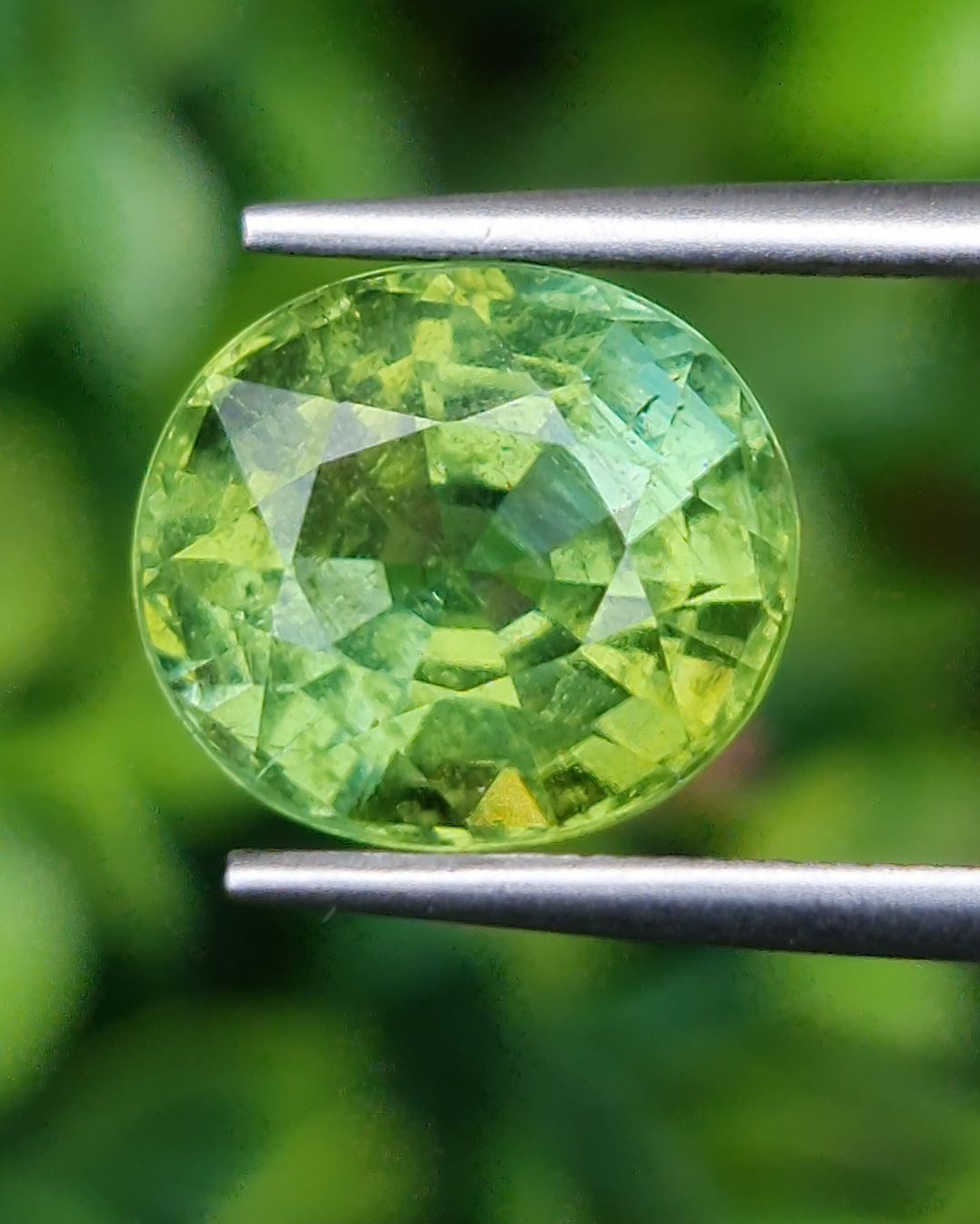 ทัวร์มาลีน Natural Tourmaline