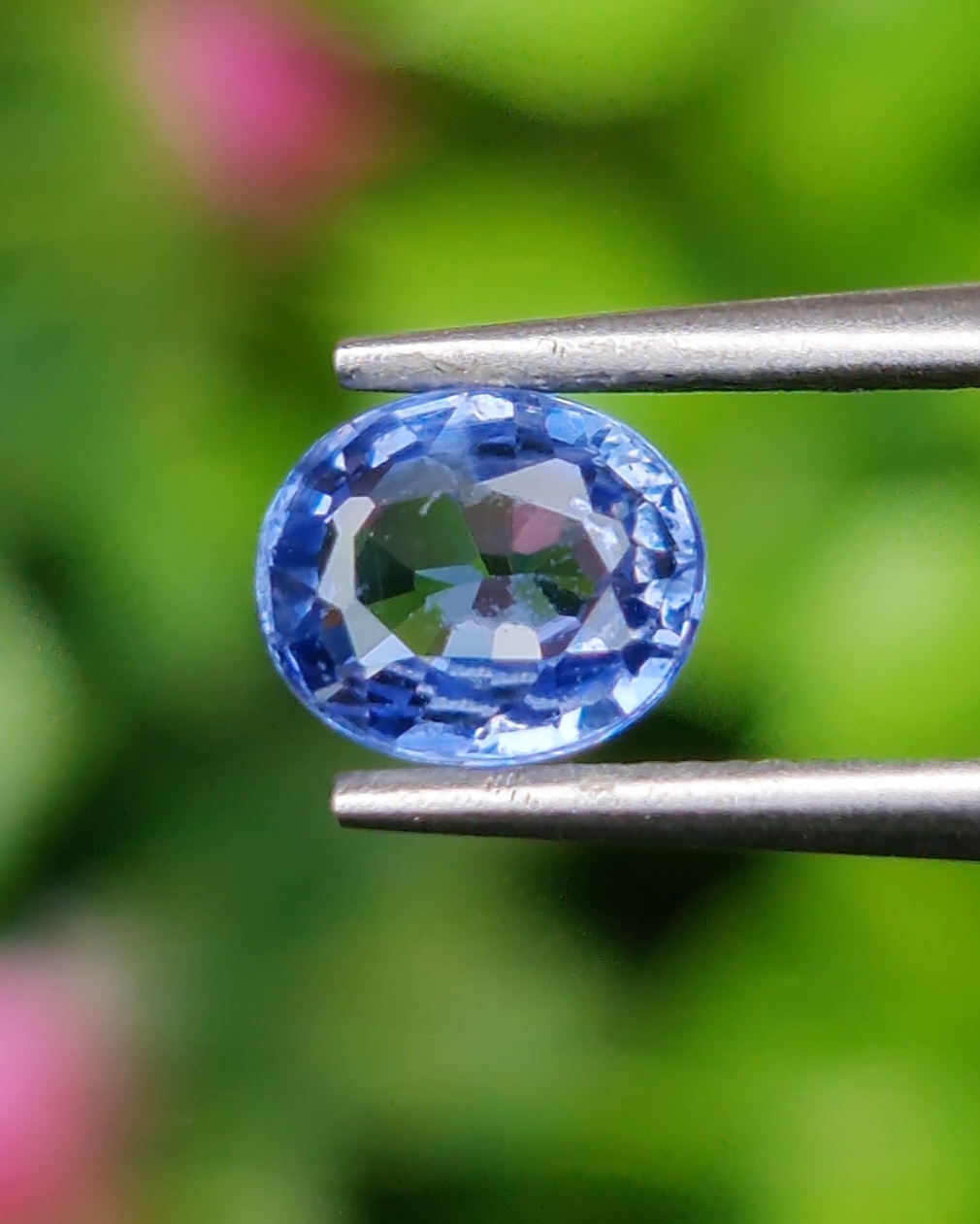 ไพลิน Natural Sapphire