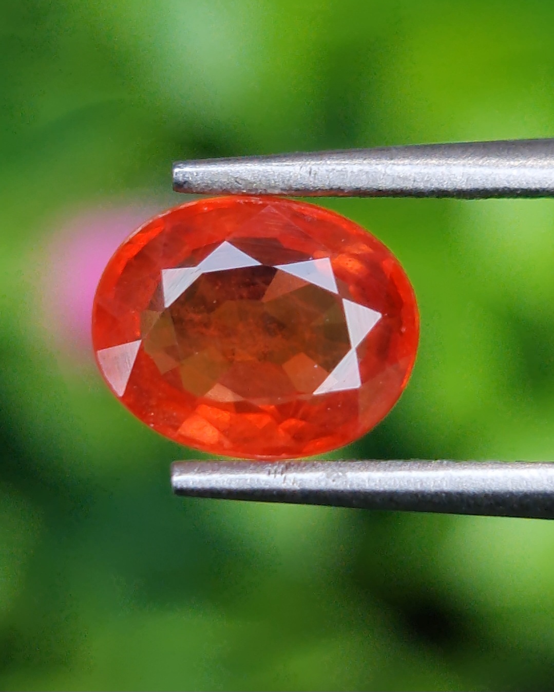 บุษราคัม (Yellow Sapphire)