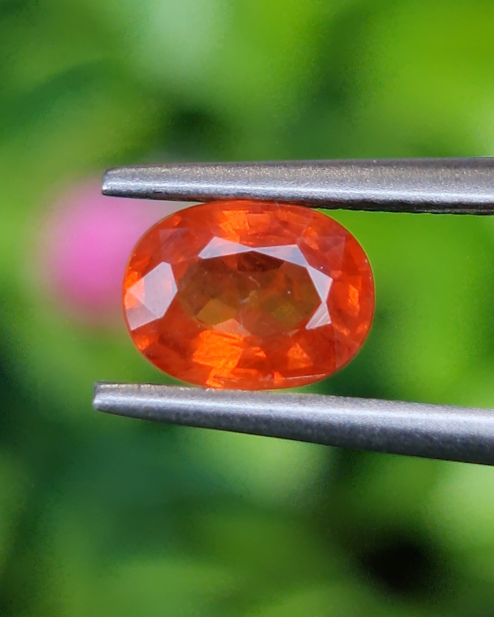 บุษราคัม (Yellow Sapphire)