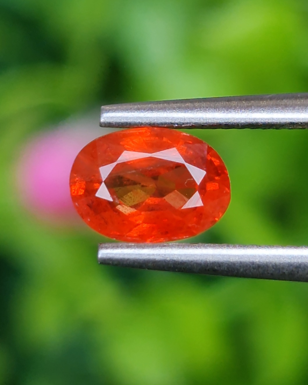 บุษราคัม (Yellow Sapphire)