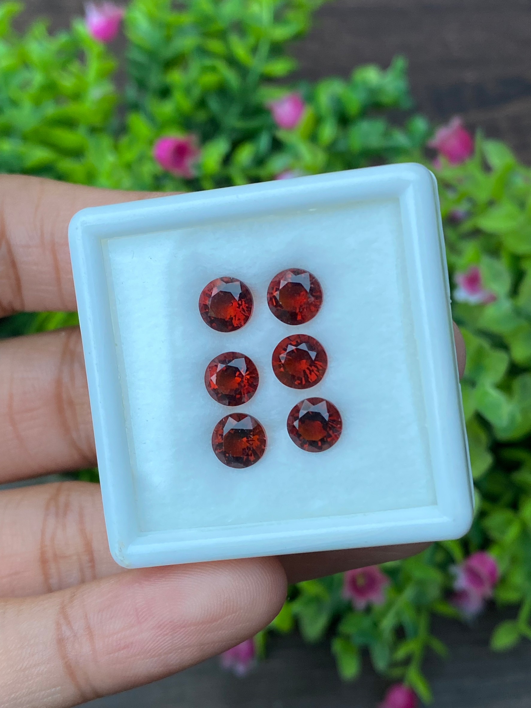 พลอย ซิทริน Citrine
