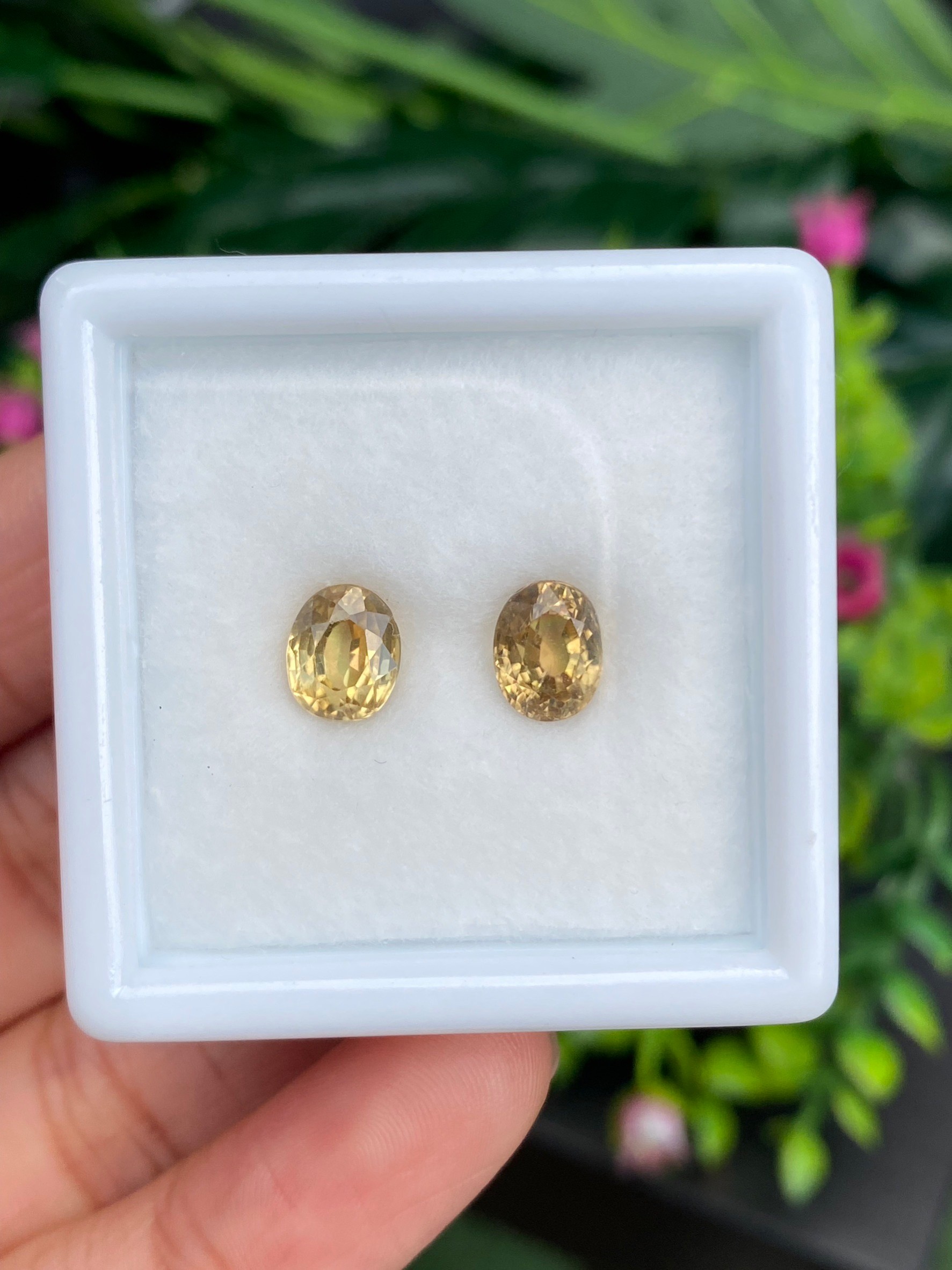 เพทาย Natural Zircon