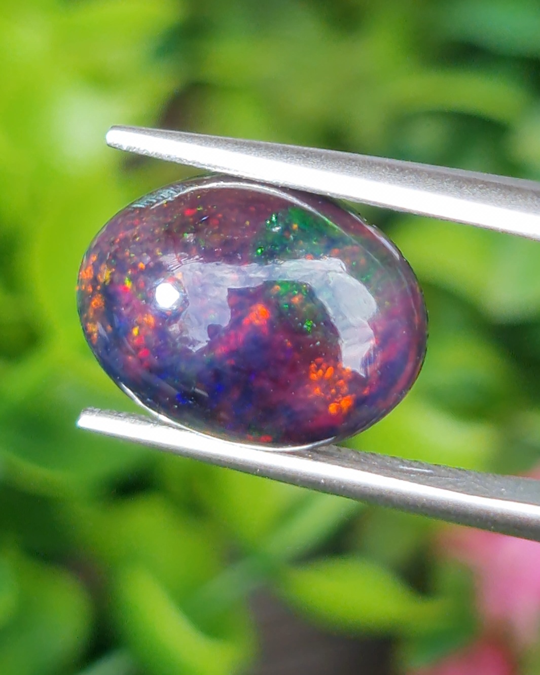 พลอย โอปอล Opal