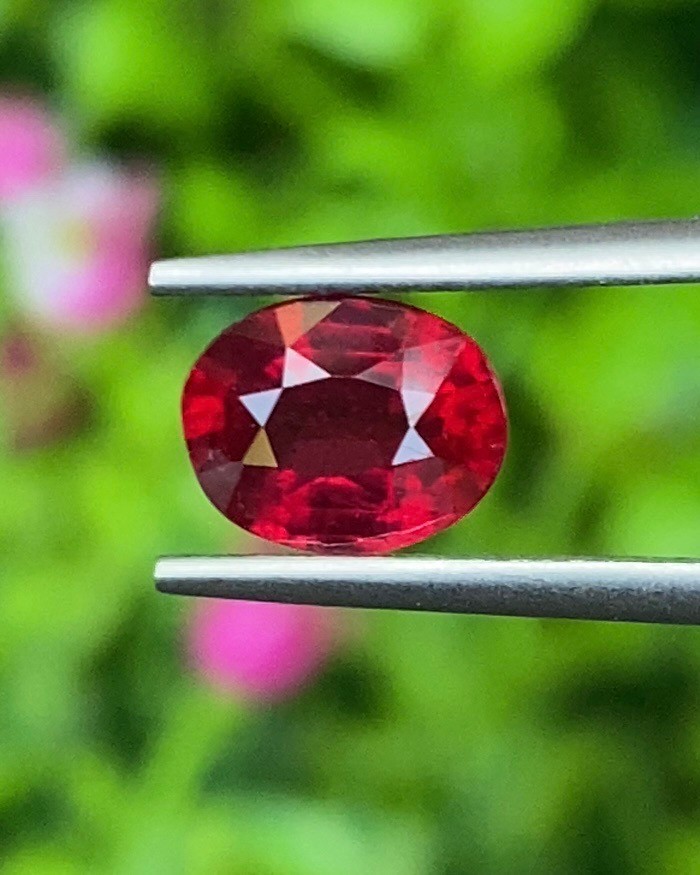 พลอย ทับทิม Ruby sapphire
