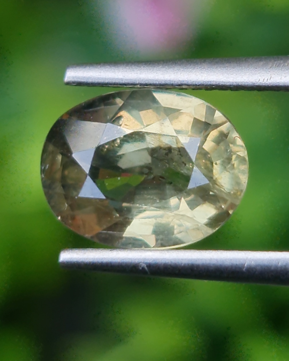 บุษราคัม Yellow Sapphire
