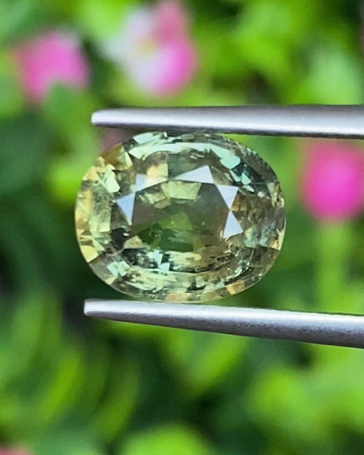 พลอย เขียวส่อง Green sapphire