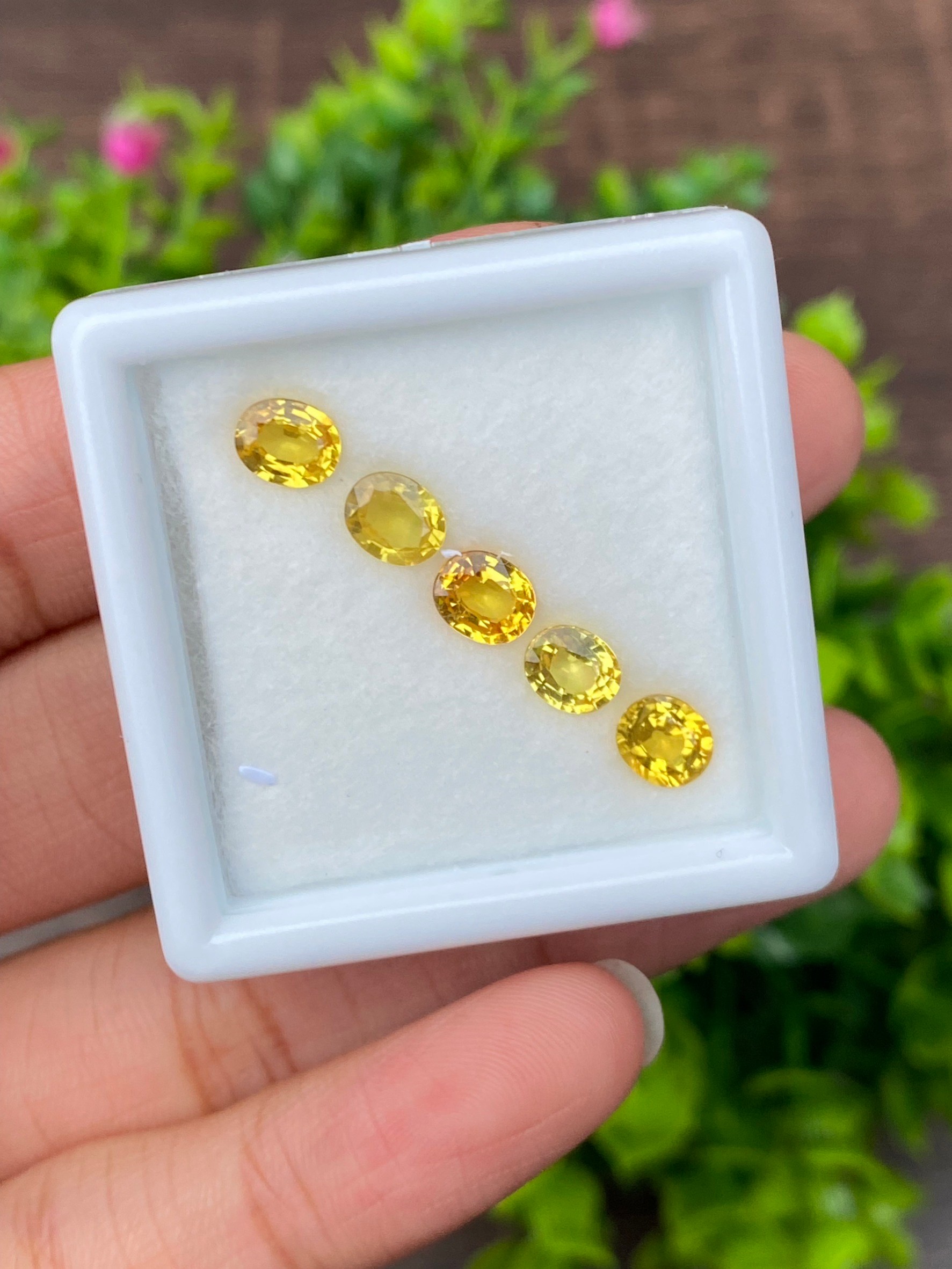 บุษราคัม Yellow Sapphire