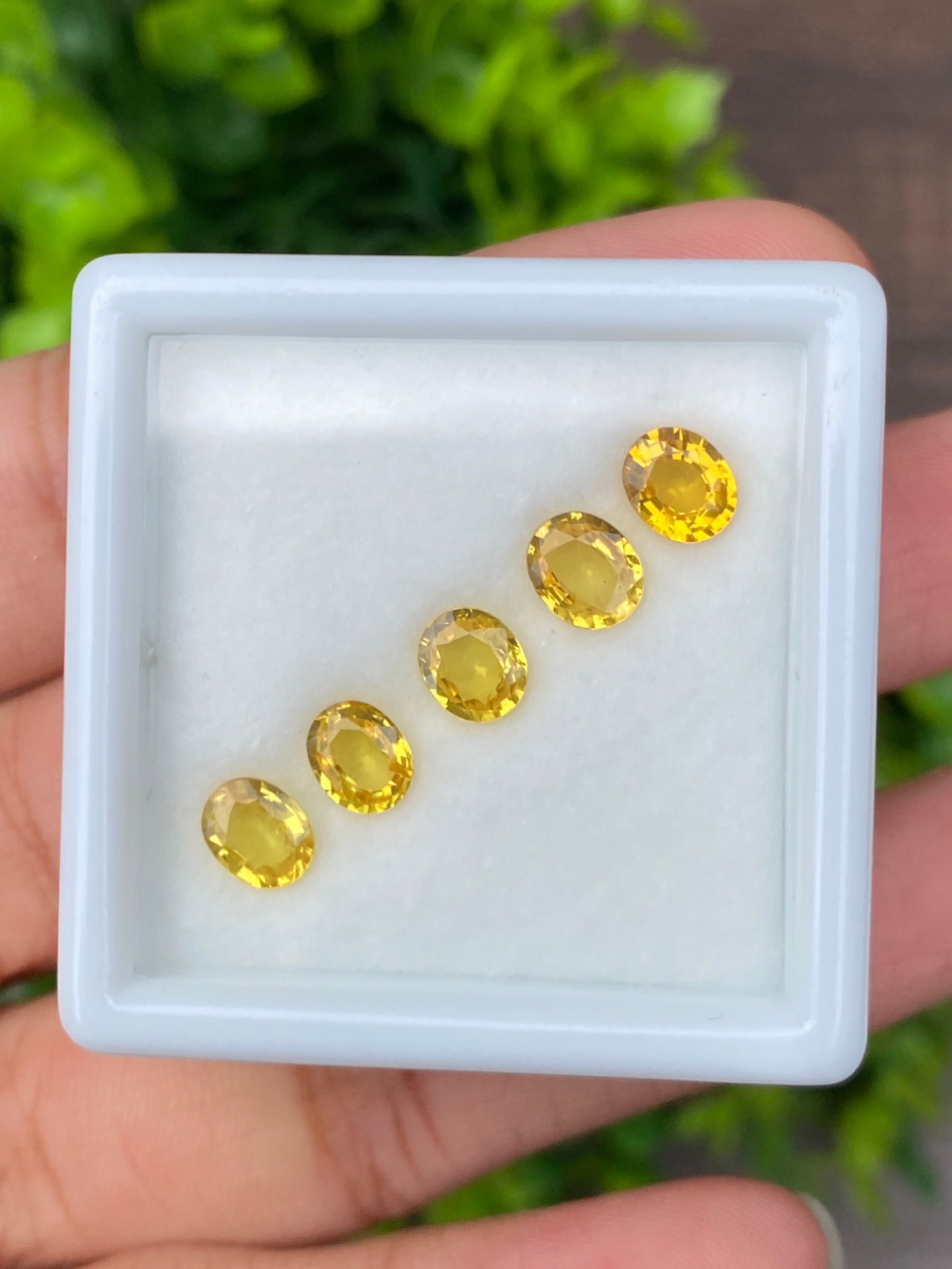 บุษราคัม Yellow Sapphire