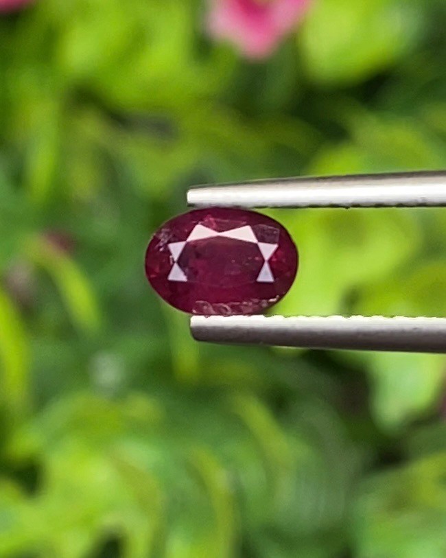 พลอย ทับทิม Ruby sapphire