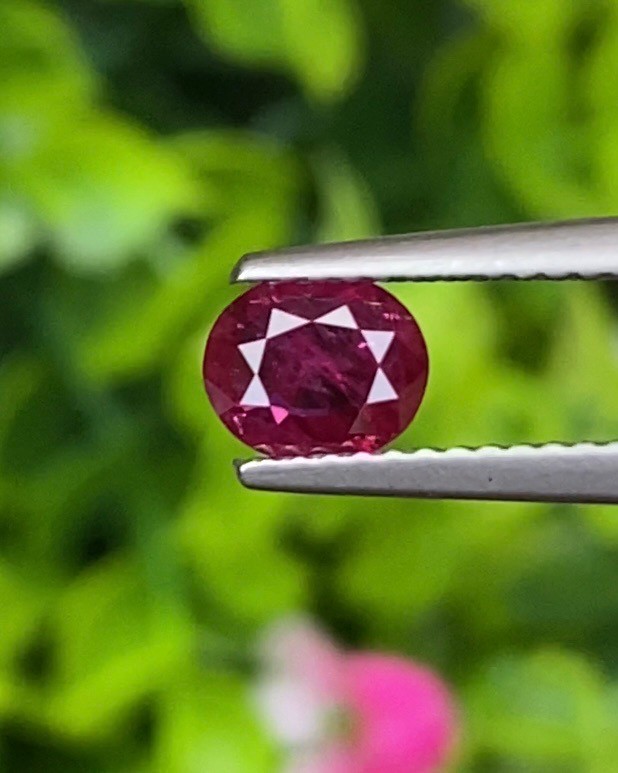 พลอย ทับทิม Ruby sapphire