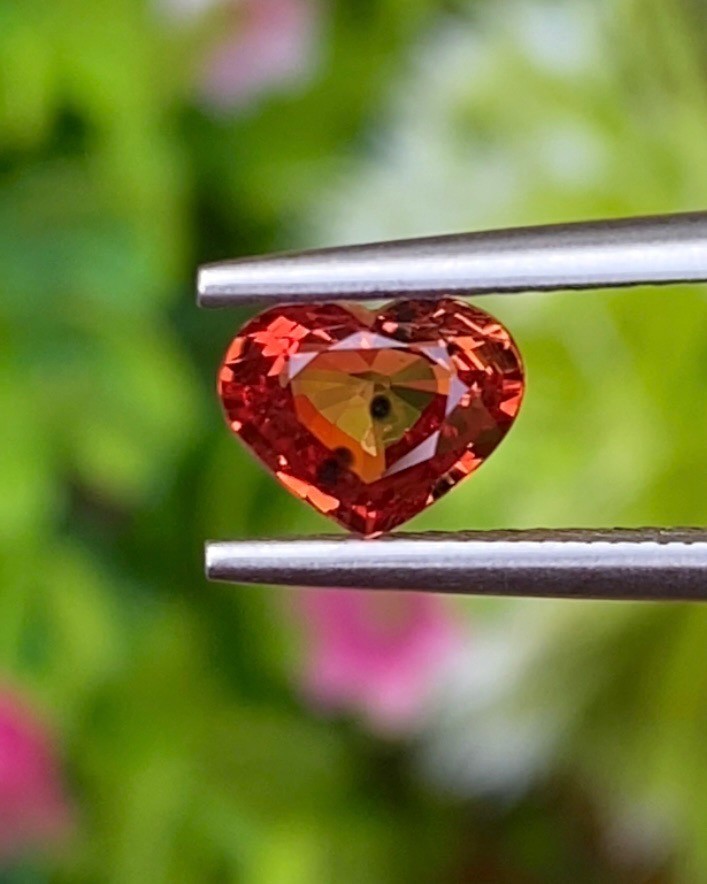ออเรนจ์ แซฟไฟร์ Orange Sapphire
