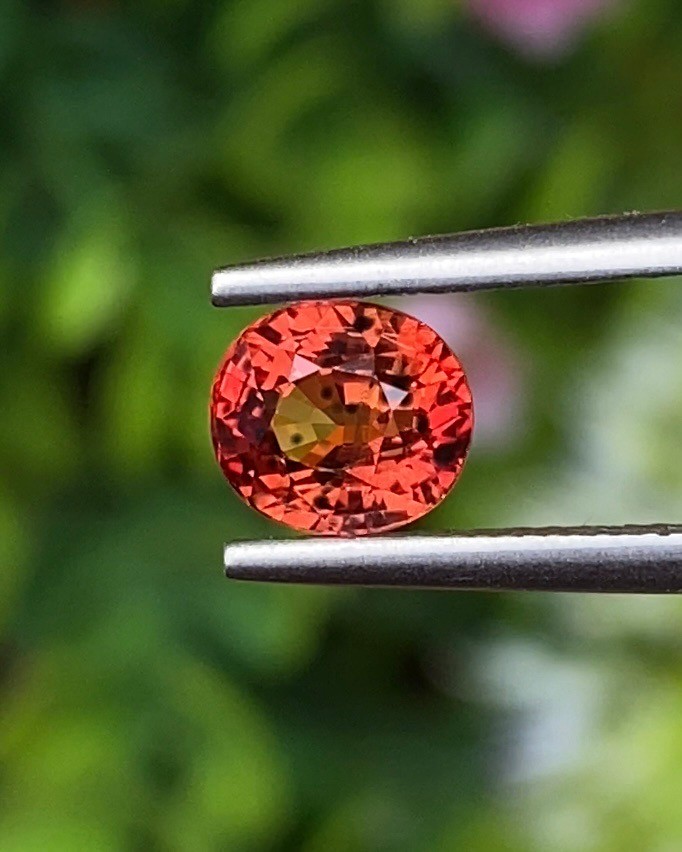 ออเรนจ์ แซฟไฟร์ Orange Sapphire
