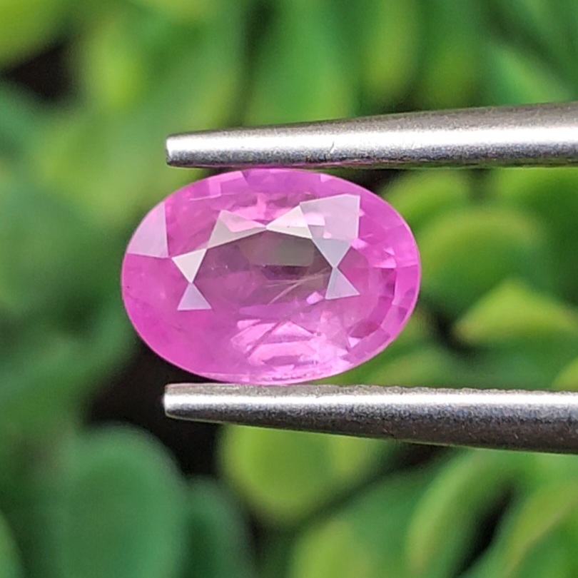 พลอย ชมพู พิ้ง แซฟไฟร์ Pink Sapphire