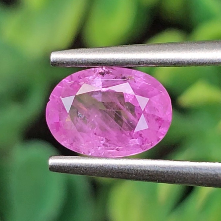 พลอย ชมพู พิ้ง แซฟไฟร์ Pink Sapphire