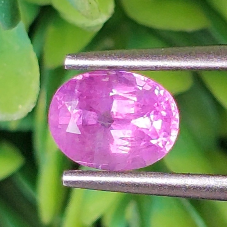 พลอย ชมพู พิ้ง แซฟไฟร์ Pink Sapphire