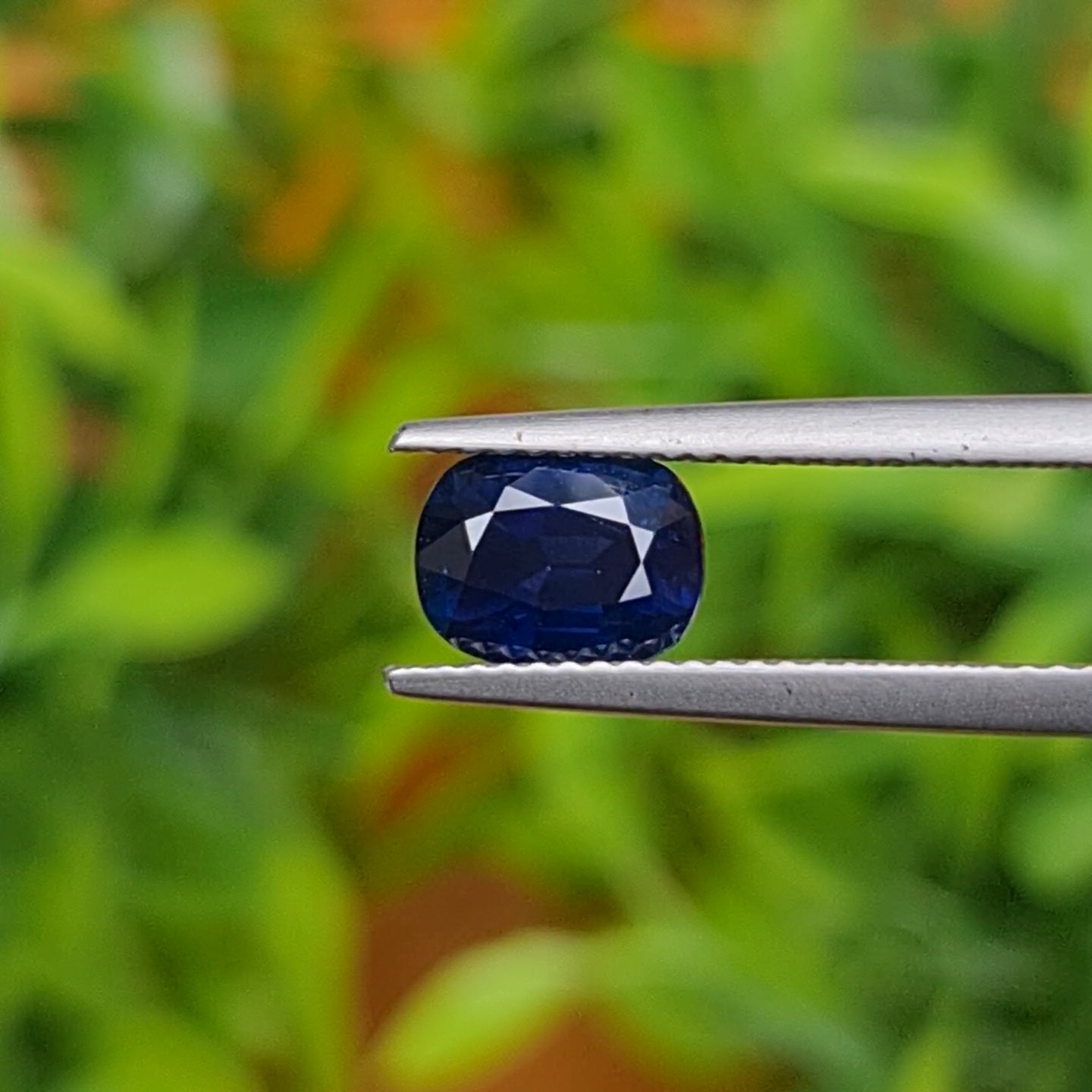ไพลิน Natural Sapphire