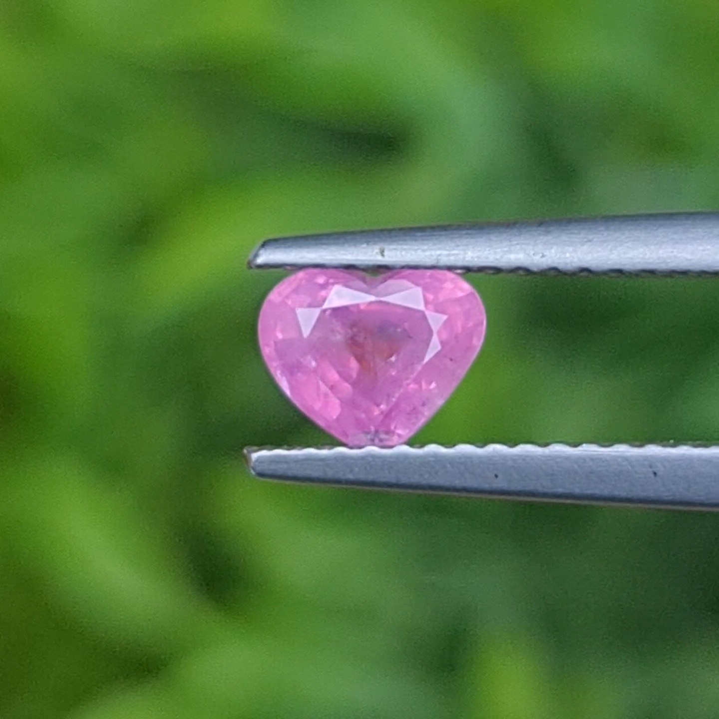 พลอย ชมพู พิ้ง แซฟไฟร์ Pink Sapphire
