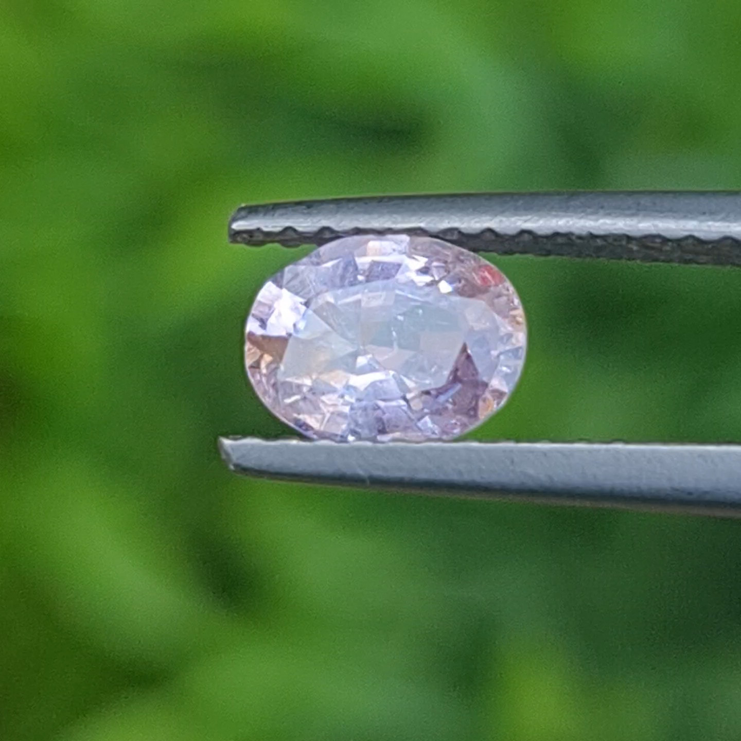 พลอย ชมพู พิ้ง แซฟไฟร์ Pink Sapphire