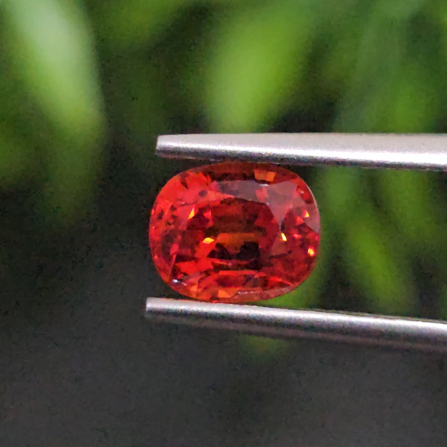 ทับทิม Ruby Sapphire