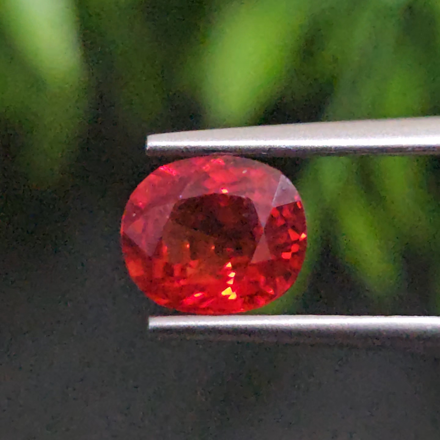 ทับทิม ซองเจีย Songea Ruby Sapphire