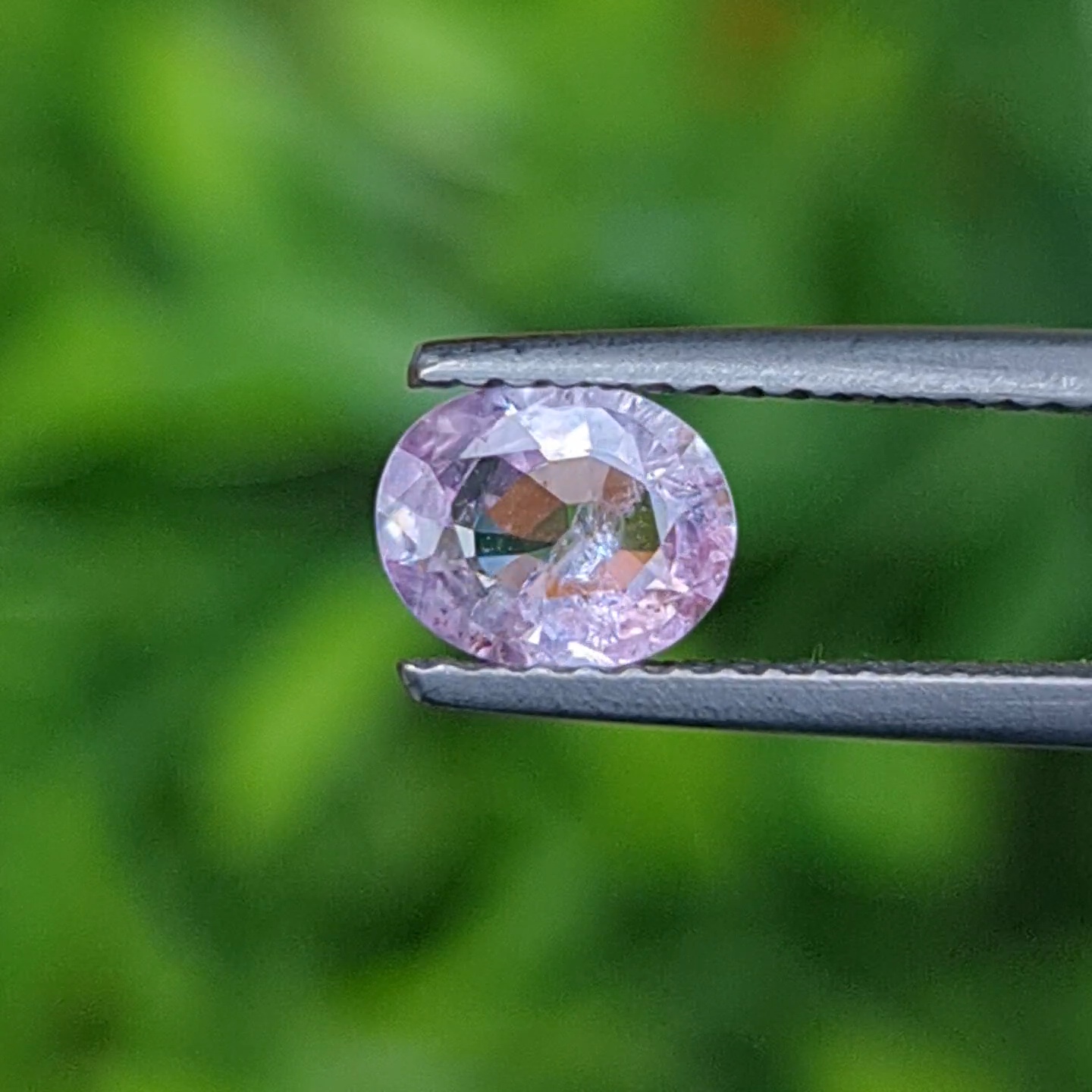 พลอย ชมพู พิ้ง แซฟไฟร์ Pink Sapphire