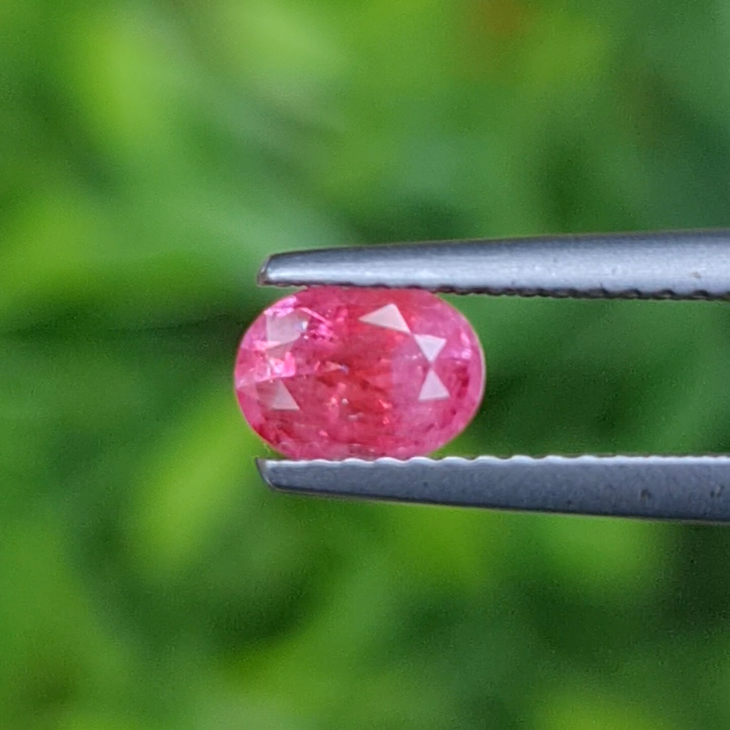 พลอย ชมพู พิ้ง แซฟไฟร์ Pink Sapphire