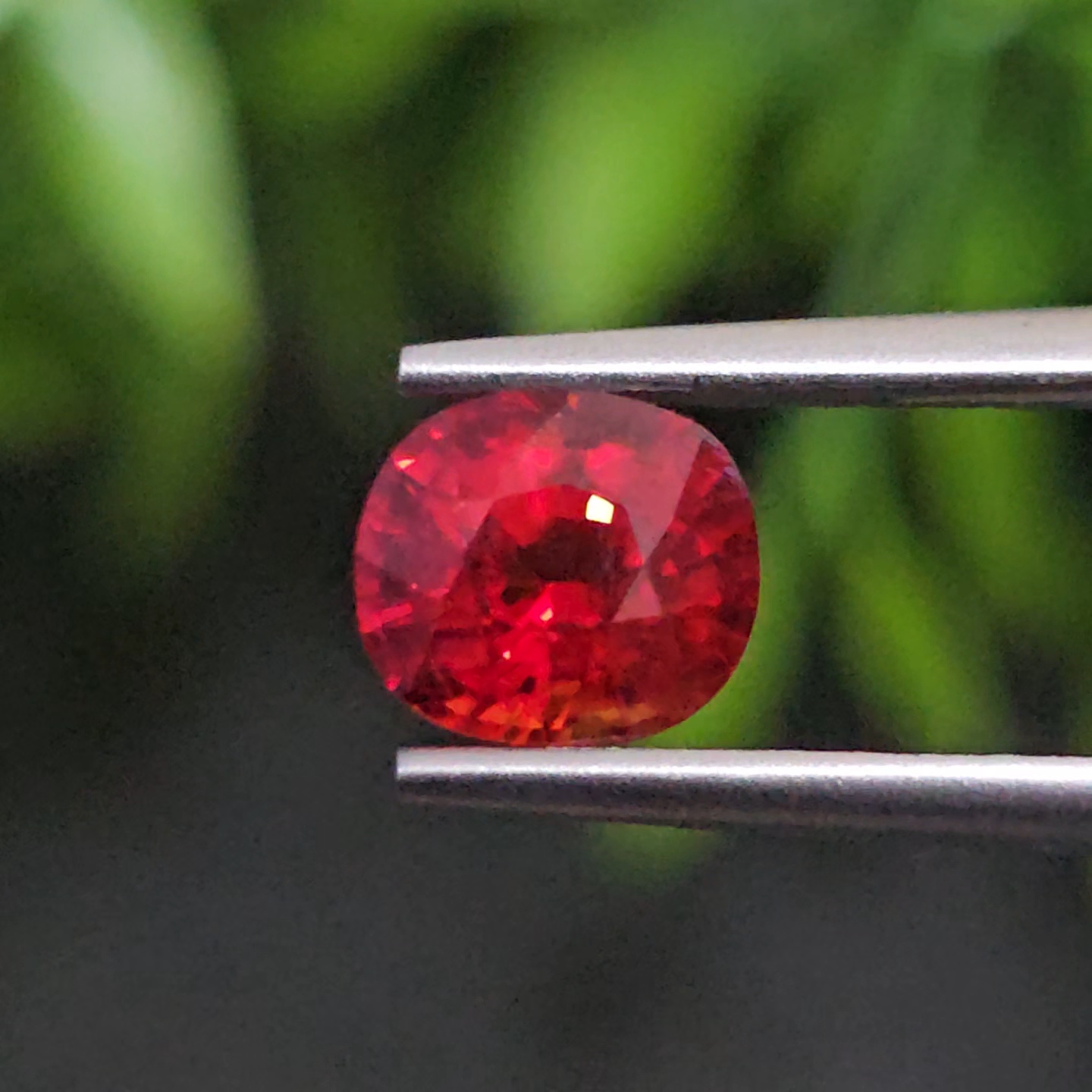 ทับทิม ซองเจีย Songea Ruby Sapphire