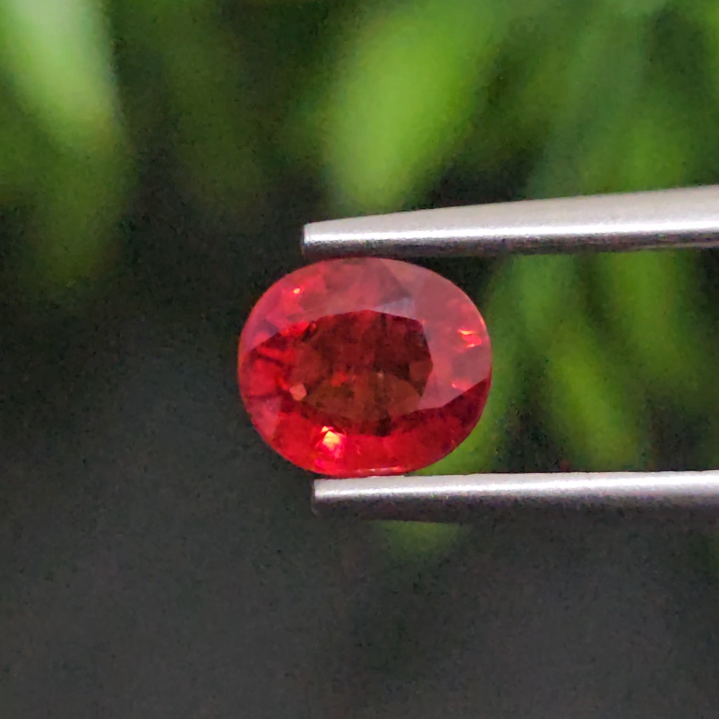 ทับทิม ซองเจีย Songea Ruby Sapphire