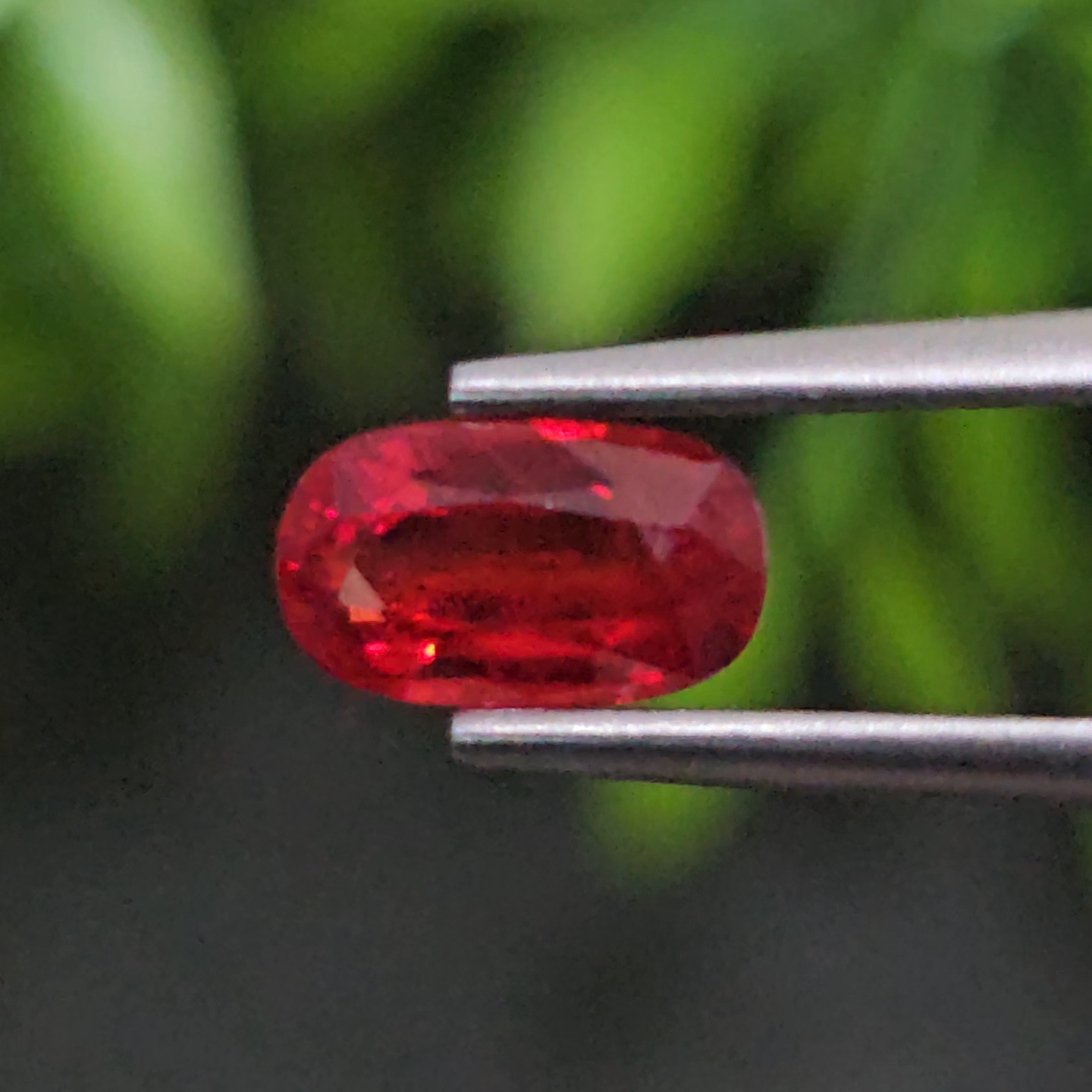ทับทิม Ruby Sapphire