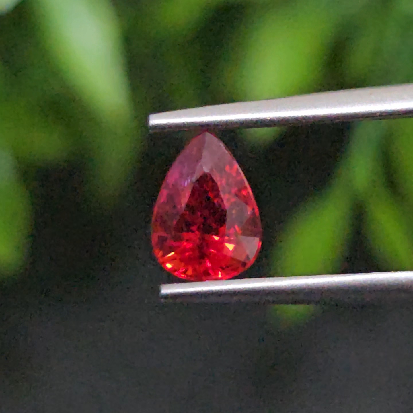 ทับทิม ซองเจีย Songea Ruby Sapphire