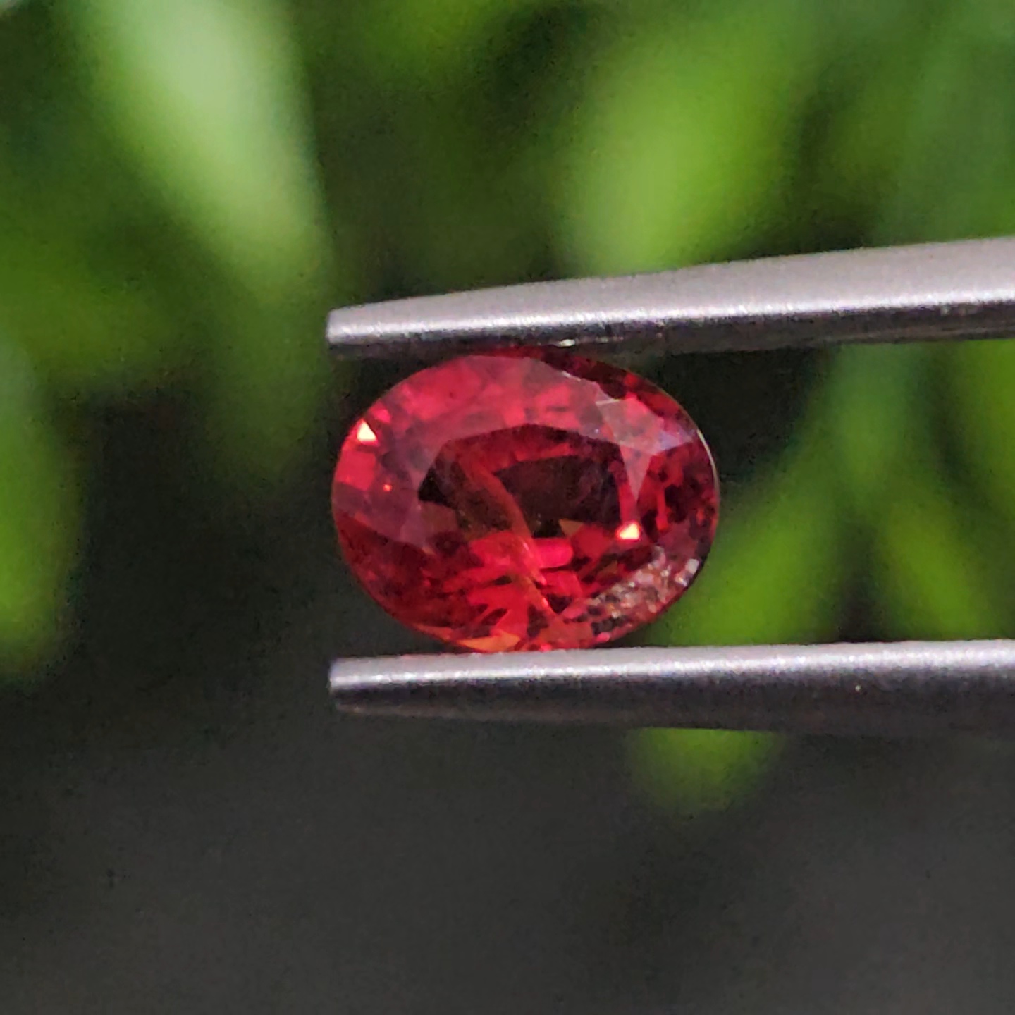 ทับทิม ซองเจีย Songea Ruby Sapphire