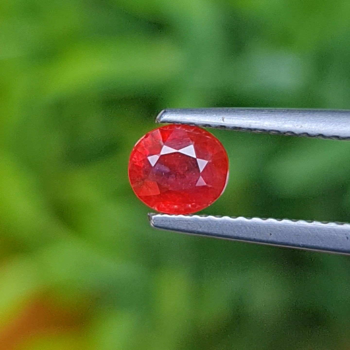 ทับทิม ซองเจีย Songea Ruby Sapphire