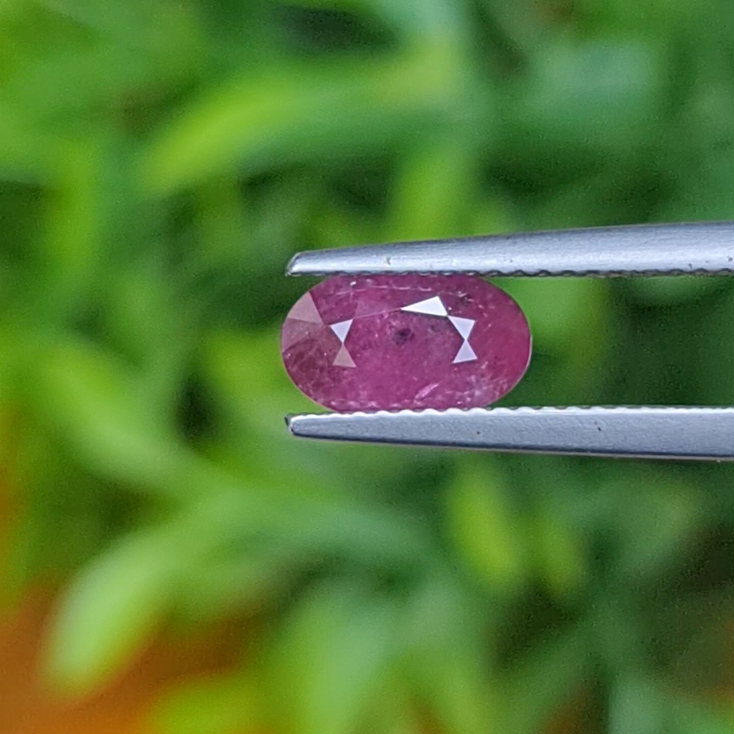 ทับทิม Ruby Sapphire