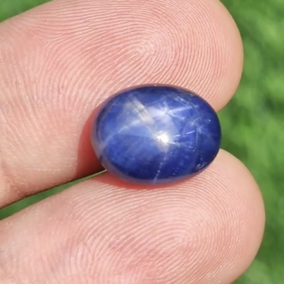 บลู สตาร์ แซฟไฟร์ Blue Star Sapphire
