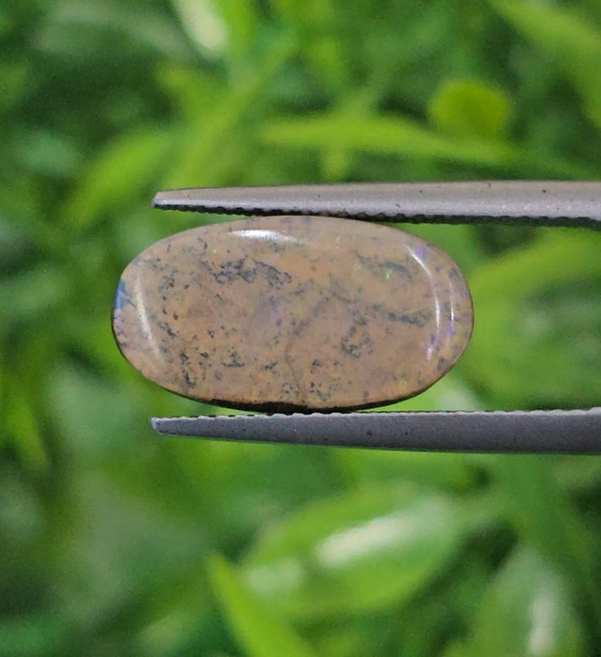 พลอย โอปอล Opal