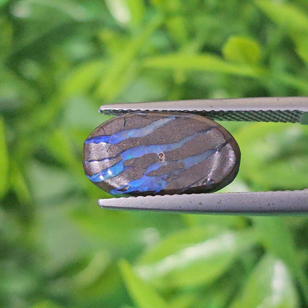 พลอย โอปอล Opal