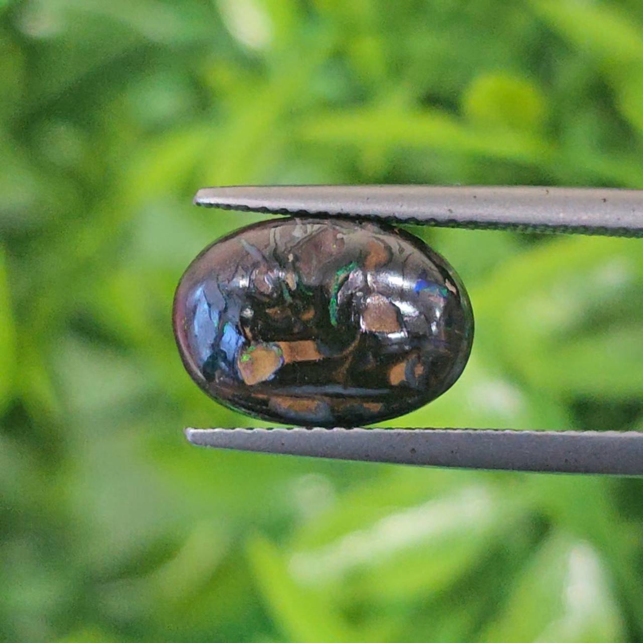 พลอย โอปอล Opal