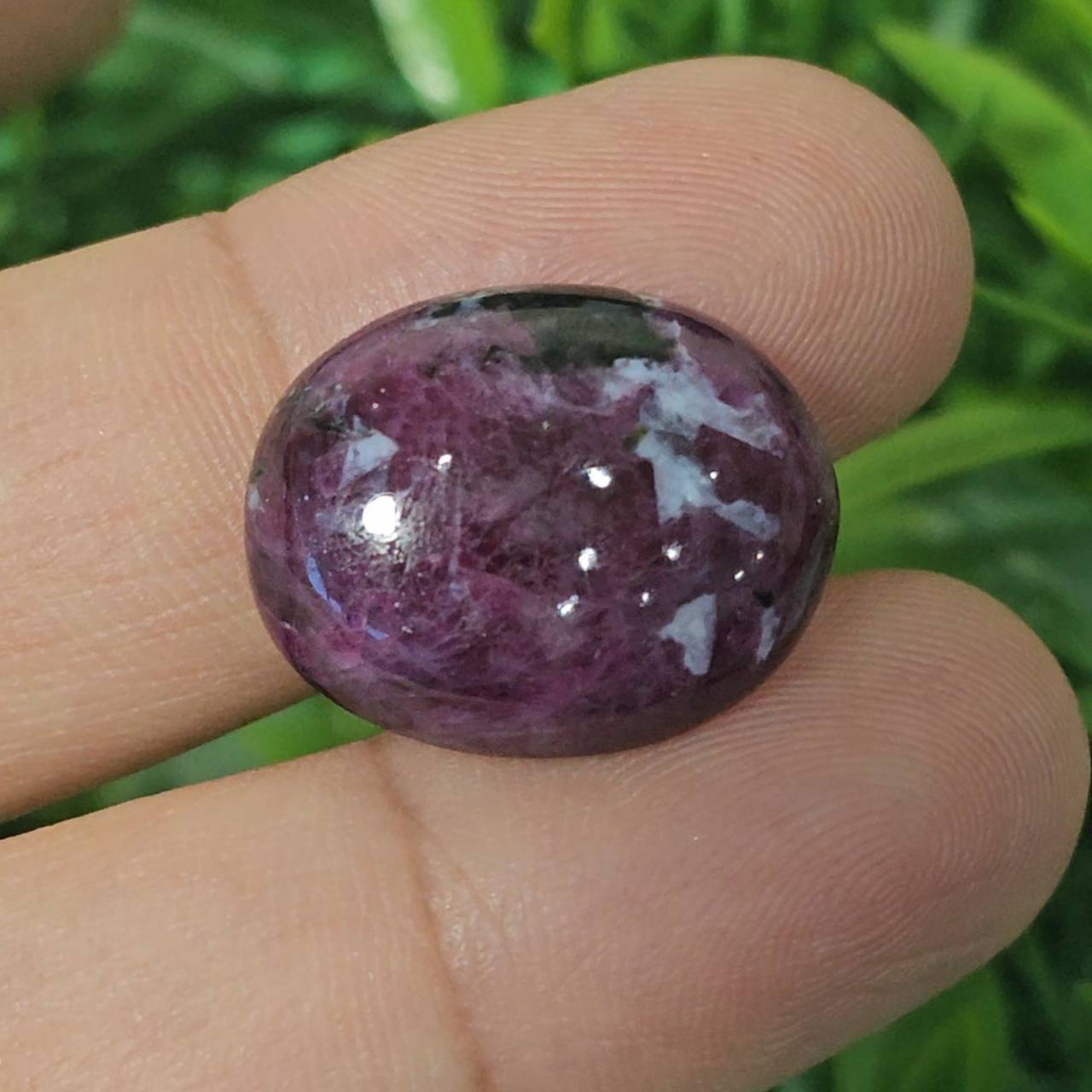 ทับทิม Natural Ruby Sapphire